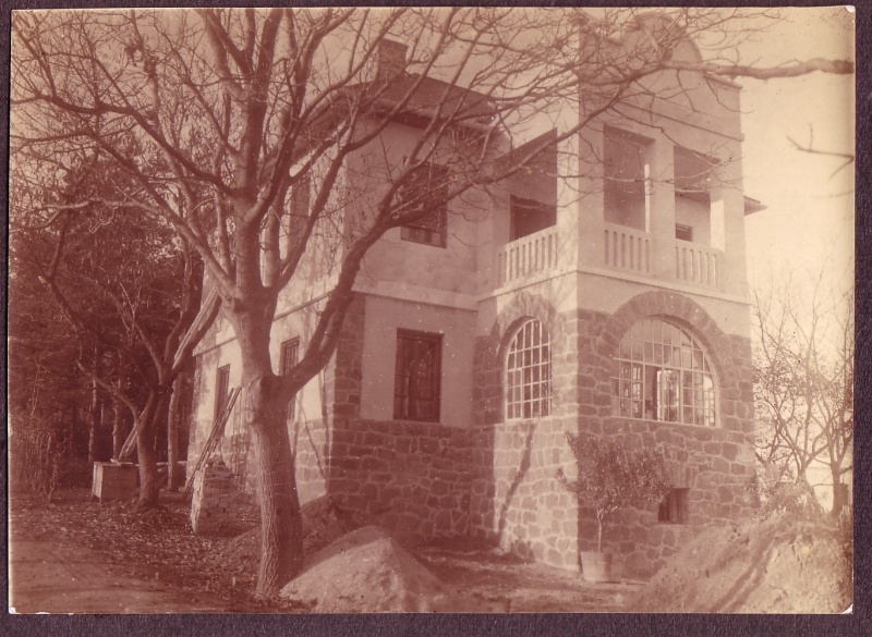 Fájl:Meszolyvilla .jpg