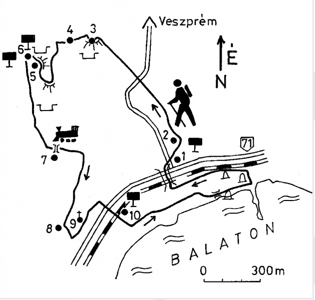 Fájl:Tanosveny 04.jpg