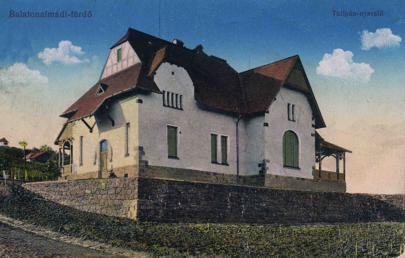 Fájl:Ovari tulipan.jpg