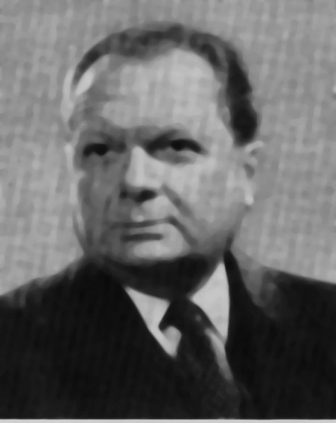 Fájl:Rimanoczy Gyula.jpg