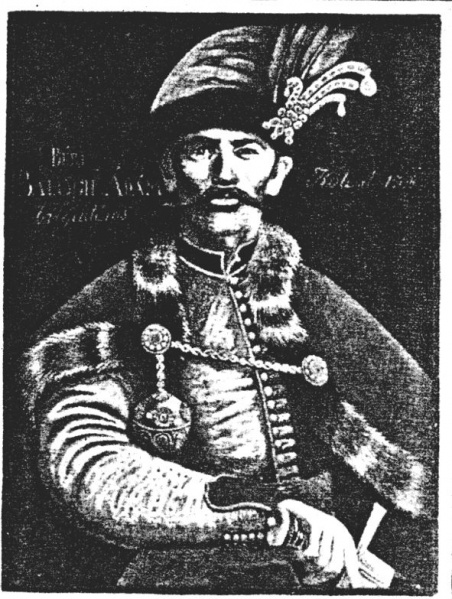 Fájl:Beri Balogh Adam.jpg